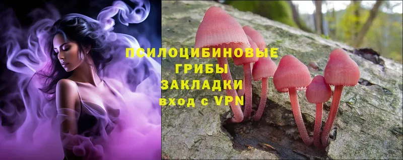 хочу наркоту  Белозерск  Галлюциногенные грибы MAGIC MUSHROOMS 